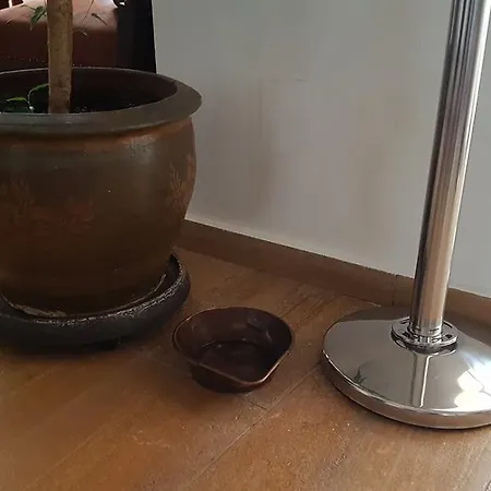 Porta Colonia Eschweiler